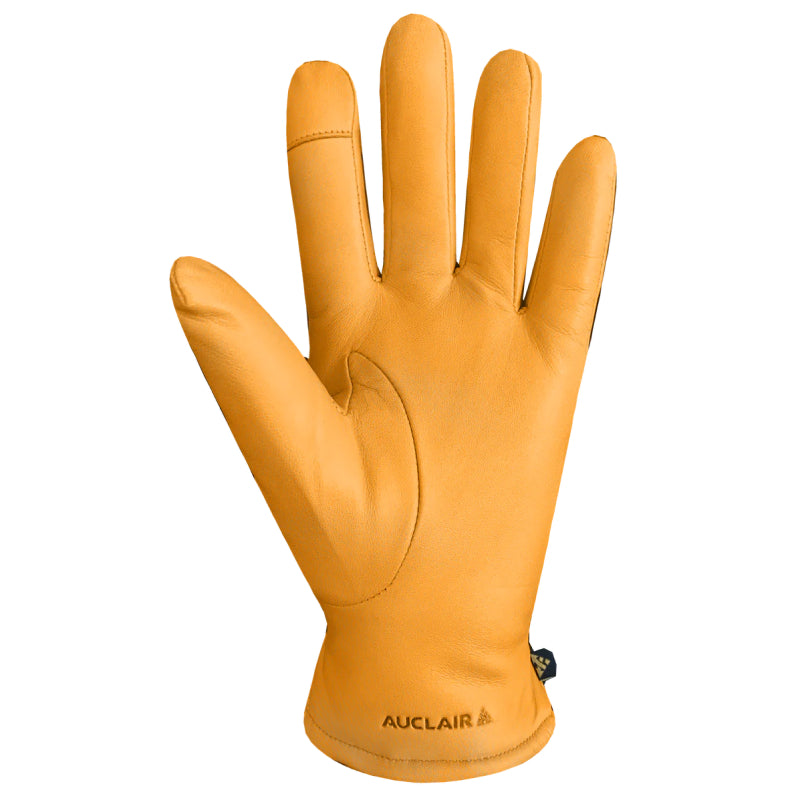 Auclair Demi Gloves - Women